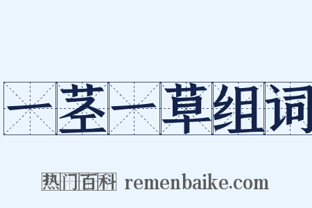 一茎一草组词是什么意思的图片